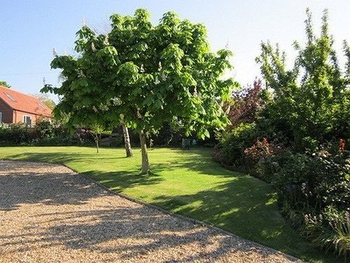 Pantiles B&B Cromer Bagian luar foto